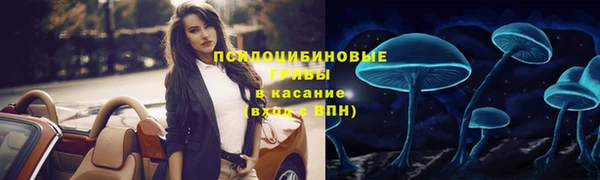 трава Балахна