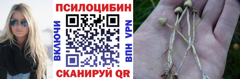 Псилоцибиновые грибы GOLDEN TEACHER  Куйбышев 